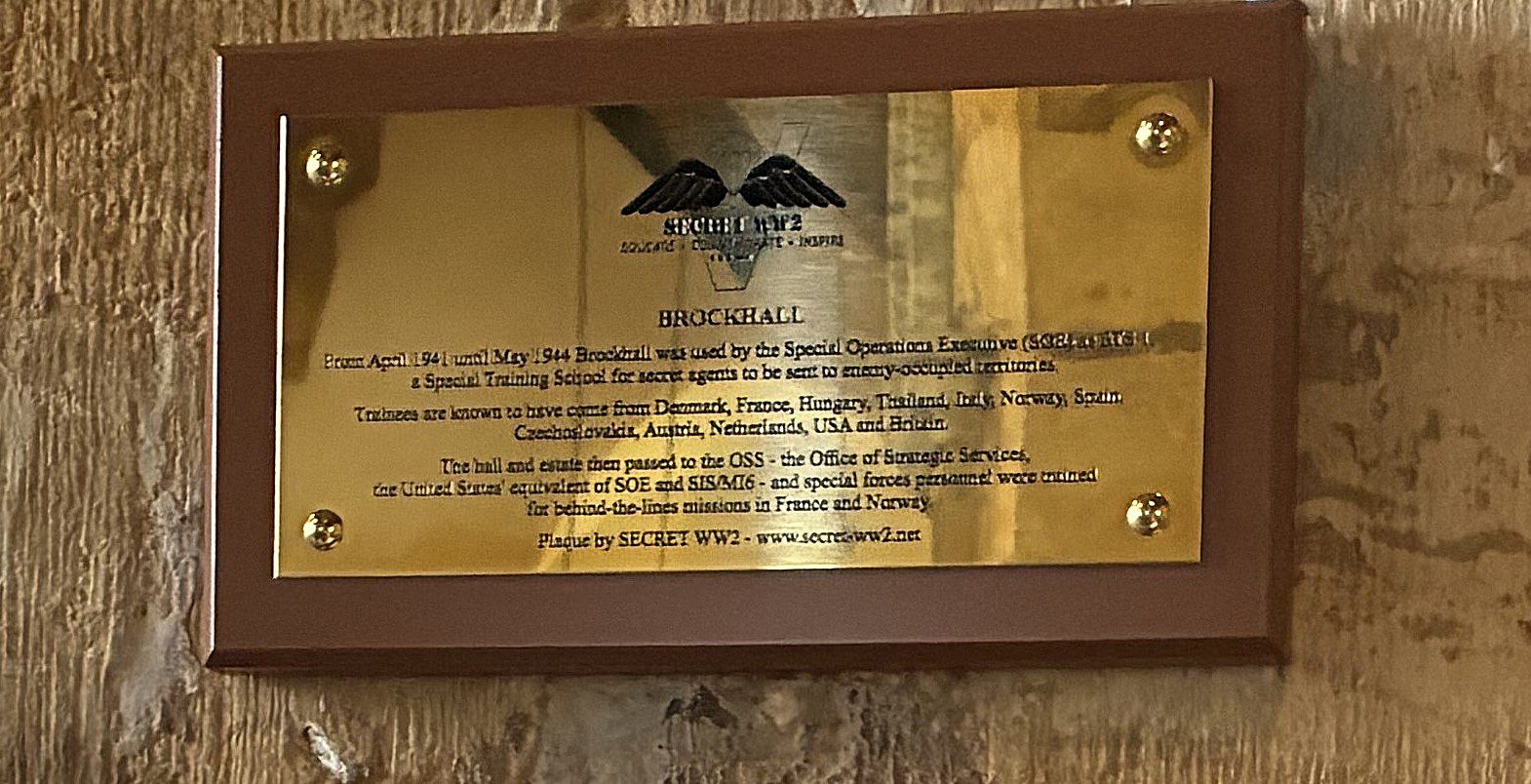 Plaque alone